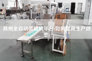 蘇州全自動(dòng)裝箱機(jī)平臺(tái)(如何提高生產(chǎn)效率)