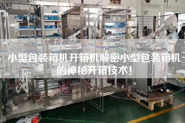 小型包裝箱機開箱機解密小型包裝箱機的神秘開箱技術(shù)！