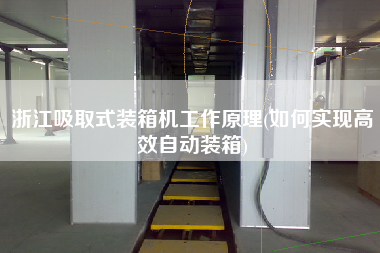 浙江吸取式裝箱機工作原理(如何實現(xiàn)高效自動裝箱)