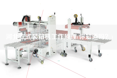 河北立式裝箱機工作原理(你知道嗎？)