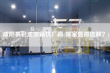 咸陽(yáng)裹包式裝箱機(jī)廠商(哪家值得信賴？)