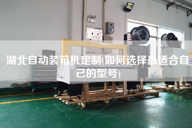 湖北自動裝箱機定制(如何選擇z適合自己的型號)
