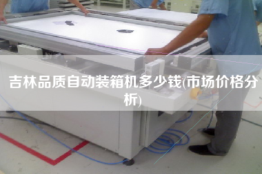 吉林品質(zhì)自動(dòng)裝箱機(jī)多少錢(市場(chǎng)價(jià)格分析)