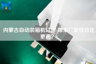 內蒙古自動裝箱機訂做(哪家廠家性價比z高？)