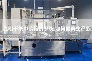 昆明干紙巾裝箱機(jī)系統(tǒng)(如何提高生產(chǎn)效率)