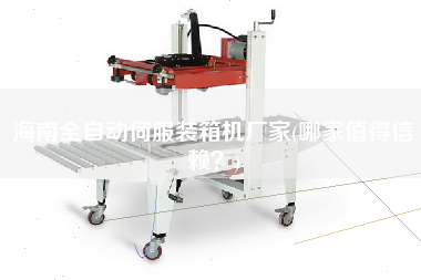 海南全自動伺服裝箱機(jī)廠家(哪家值得信賴？)