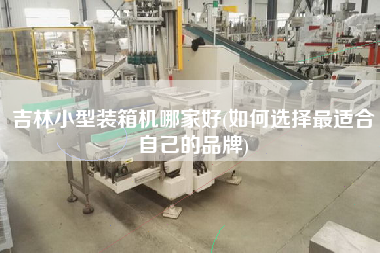 吉林小型裝箱機哪家好(如何選擇z適合自己的品牌)