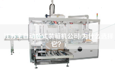 江蘇全自動臥式裝箱機(jī)公司(為什么選擇它？)