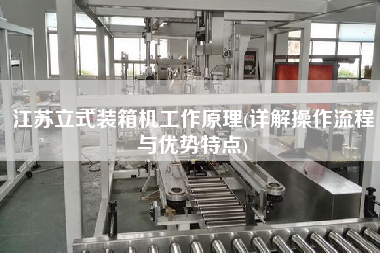 江蘇立式裝箱機工作原理(詳解操作流程與優(yōu)勢特點)