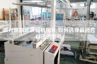 嘉興抓取式裝箱機(jī)圖片(如何選擇z適合自己的型號(hào))