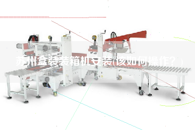 蘇州盒裝裝箱機(jī)安裝(該如何操作？)