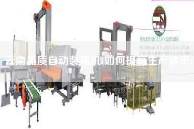 云南品質自動裝箱機(如何提高生產效率)