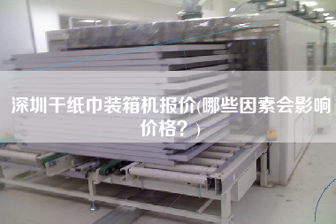深圳干紙巾裝箱機(jī)報價(哪些因素會影響價格？)