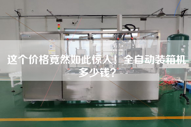 這個價格竟然如此驚人！全自動裝箱機多少錢？