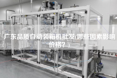 廣東品質(zhì)自動(dòng)裝箱機(jī)批發(fā)(哪些因素影響價(jià)格？)