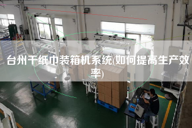 臺州干紙巾裝箱機(jī)系統(tǒng)(如何提高生產(chǎn)效率)
