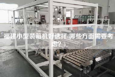 福建小型裝箱機(jī)好選擇(哪些方面需要考慮？)