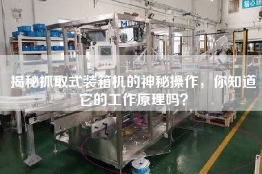 揭秘抓取式裝箱機(jī)的神秘操作，你知道它的工作原理嗎？