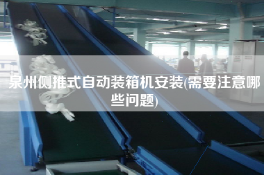 泉州側(cè)推式自動(dòng)裝箱機(jī)安裝(需要注意哪些問(wèn)題)