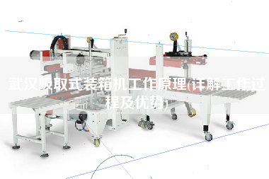 武漢吸取式裝箱機(jī)工作原理(詳解工作過程及優(yōu)勢)