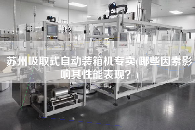 蘇州吸取式自動(dòng)裝箱機(jī)專賣(哪些因素影響其性能表現(xiàn)？)