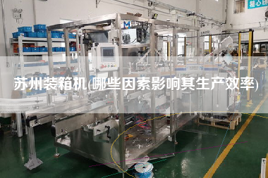 蘇州裝箱機(jī)(哪些因素影響其生產(chǎn)效率)