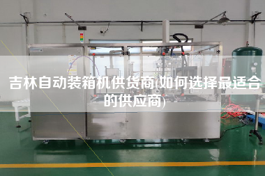 吉林自動裝箱機供貨商(如何選擇z適合的供應商)