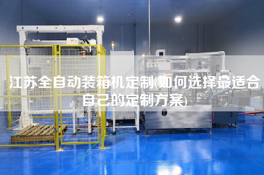 江蘇全自動(dòng)裝箱機(jī)定制(如何選擇z適合自己的定制方案)