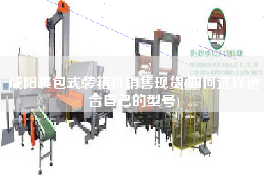 咸陽裹包式裝箱機(jī)銷售現(xiàn)貨(如何選擇適合自己的型號(hào))