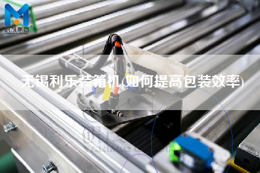 無錫利樂裝箱機(如何提高包裝效率)