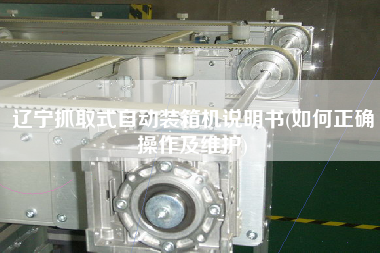 遼寧抓取式自動(dòng)裝箱機(jī)說(shuō)明書(shū)(如何正確操作及維護(hù))