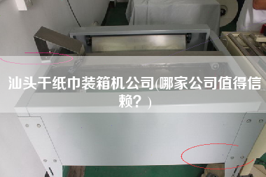 汕頭干紙巾裝箱機公司(哪家公司值得信賴？)