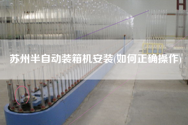蘇州半自動(dòng)裝箱機(jī)安裝(如何正確操作)