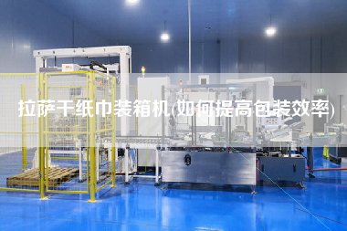 拉薩干紙巾裝箱機(如何提高包裝效率)