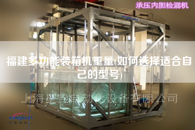 福建多功能裝箱機(jī)重量(如何選擇適合自己的型號(hào))