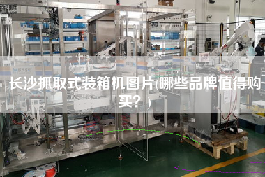 長沙抓取式裝箱機圖片(哪些品牌值得購買？)