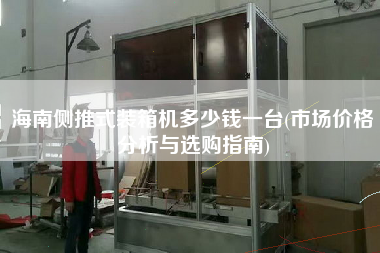 海南側(cè)推式裝箱機(jī)多少錢一臺(市場價格分析與選購指南)