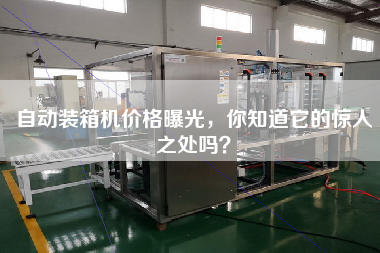 自動裝箱機價格曝光，你知道它的驚人之處嗎？