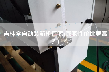 吉林全自動裝箱機(jī)廠家(哪家性價(jià)比z高？)