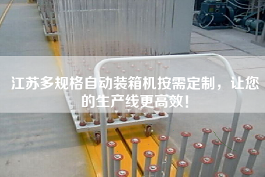江蘇多規(guī)格自動(dòng)裝箱機(jī)按需定制，讓您的生產(chǎn)線z高效！