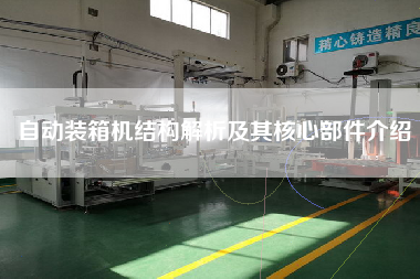 自動(dòng)裝箱機(jī)結(jié)構(gòu)解析及其核心部件介紹