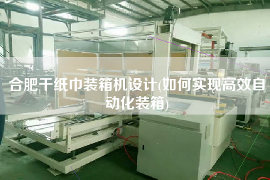合肥干紙巾裝箱機(jī)設(shè)計(jì)(如何實(shí)現(xiàn)高效自動(dòng)化裝箱)