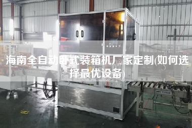 海南全自動臥式裝箱機廠家定制(如何選擇z優(yōu)設備)