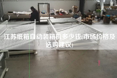 江蘇紙箱自動裝箱機多少錢(市場價格及選購建議)