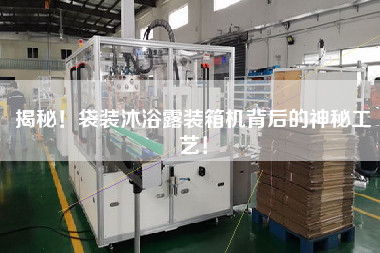 揭秘！袋裝沐浴露裝箱機背后的神秘工藝！