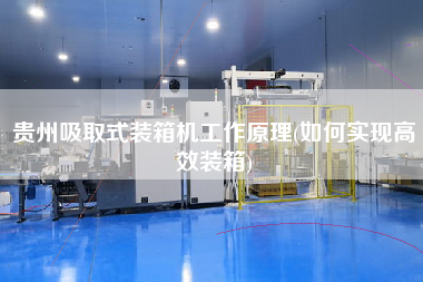 貴州吸取式裝箱機(jī)工作原理(如何實(shí)現(xiàn)高效裝箱)