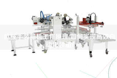 機(jī)械手裝箱機(jī)工作原理(如何實(shí)現(xiàn)高效自動(dòng)化裝箱)
