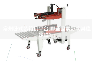 常州臥式裝箱機(jī)平臺(哪些因素影響其穩(wěn)定性？)